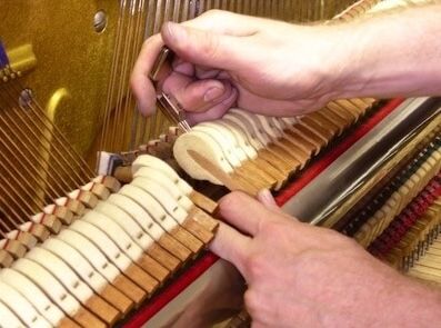 Service del piano - Inspección detallada